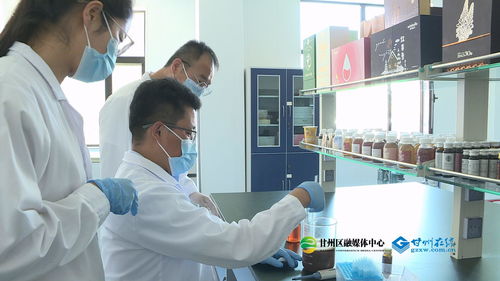 科技匠心赋能食药同源，青春力量书写产业华章——何贵山的技术服务之路